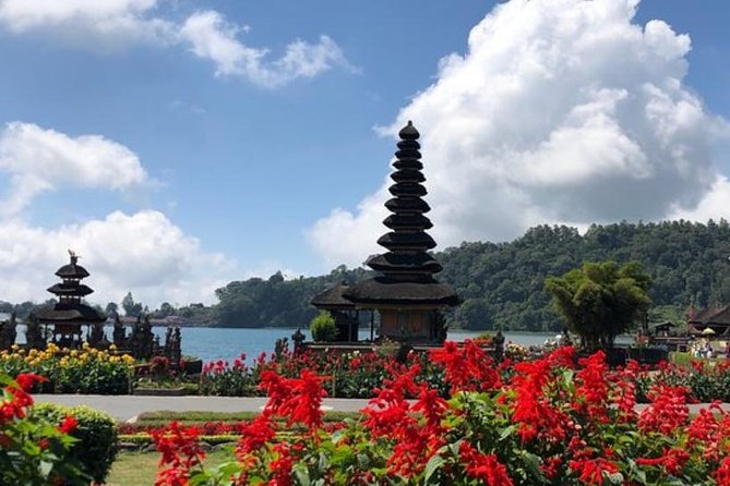 Private Jatiluwih Rice Terraces Heritage Site and Culture Tour - Weather, pacing, and Dewa Alit’s guide style