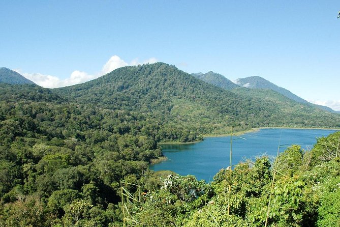 Private Jatiluwih Rice Terraces Heritage Site and Culture Tour - Ulun Danu Beratan Temple: A lakeside temple stop that sets the tone
