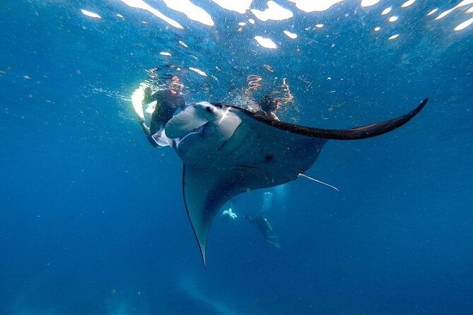PRIVATE Nusa Penida on Boat Snorkeling & Island Tour (INCLUSIVE) - Key Highlights Worth Your Time