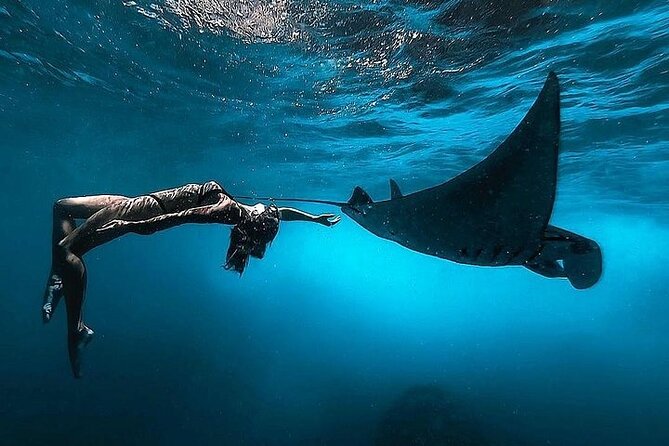 PRIVATE Nusa Penida on Boat Snorkeling & Island Tour (INCLUSIVE) - Price and Logistics: What Your $135 Is Really Covering