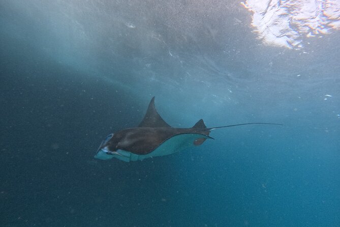 PRIVATE Nusa Penida on Boat Snorkeling & Island Tour (INCLUSIVE) - Comfort Details You’ll Appreciate More Than You Expect