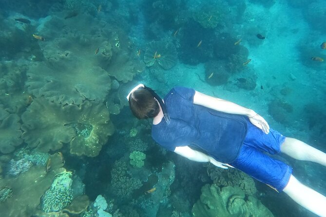 Private Nusa Penida Snorkeling Tour - Who This Tour Suits Best (And Who Should Skip It)