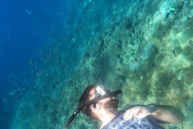 Private Nusa Penida Snorkeling Tour - Practical Tips to Get More Out of the Day