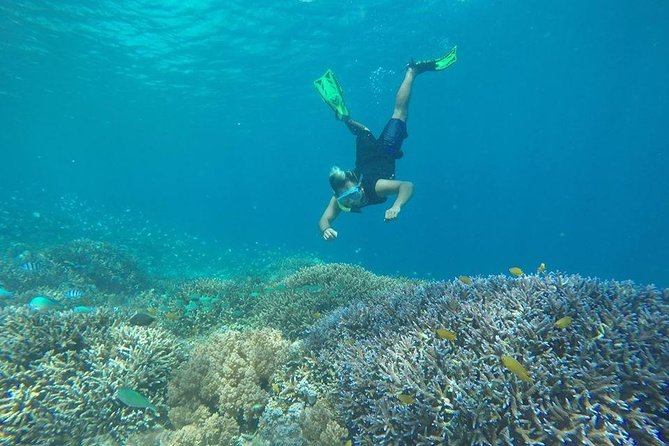 Private Snorkeling Gili Island (Coral, Statue and Turtle) - A Private-Boat Snorkel That Actually Uses Its Time