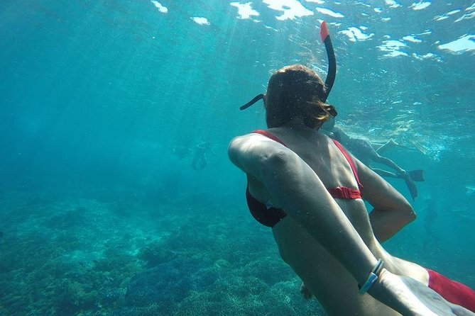 Private Snorkeling Gili Island (Coral, Statue and Turtle) - Lunch on Gili Meno, Then a Beach Break