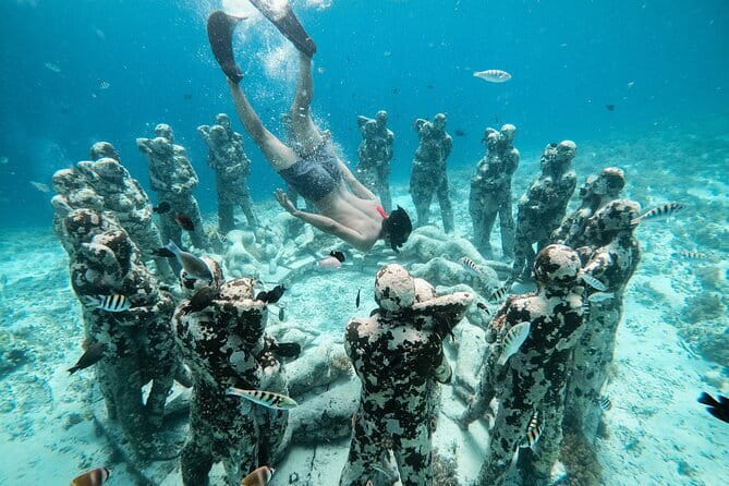 Private Snorkeling Gili Island Including GoPro Camera - What You’ll Get From This Private Gili Snorkeling With GoPro