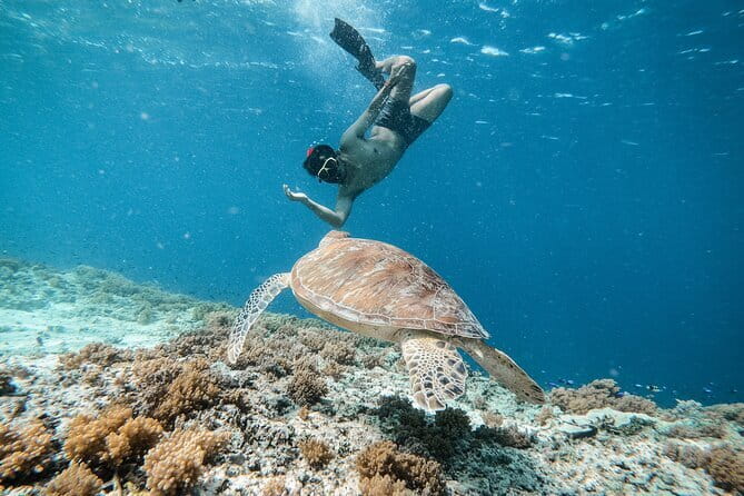 Private Snorkeling Gili Island Including GoPro Camera - Key Highlights to Know Before You Go