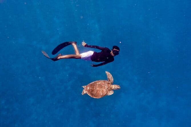 Private Snorkeling Gili Island Including GoPro Camera - Transportation on a Glass-Bottom Boat: Worth It Even Before You Swim
