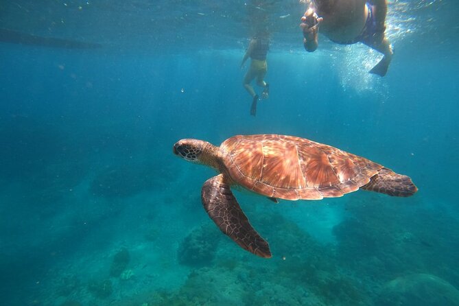 Private Snorkeling in Manta Bay, Gamat Bay & Wall at Nusa Penida - Key highlights you should know