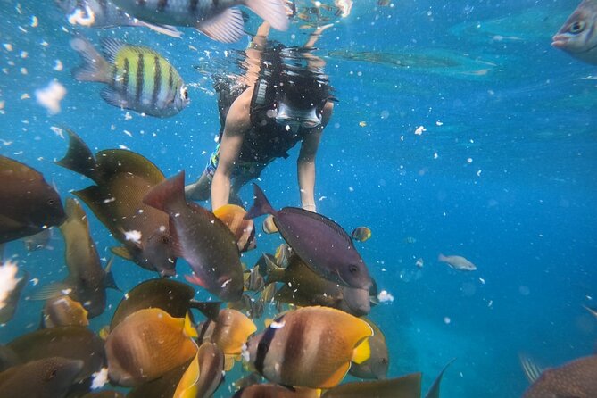 Private Snorkeling in Manta Bay, Gamat Bay & Wall at Nusa Penida - Private Snorkeling on Nusa Penida: What the Schedule Feels Like