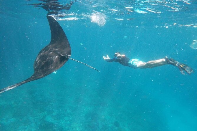 Private Snorkeling in Manta Bay, Gamat Bay & Wall at Nusa Penida - Your Instructor on the Water: Practical Help, Better Fish Spotting, Photo Tips