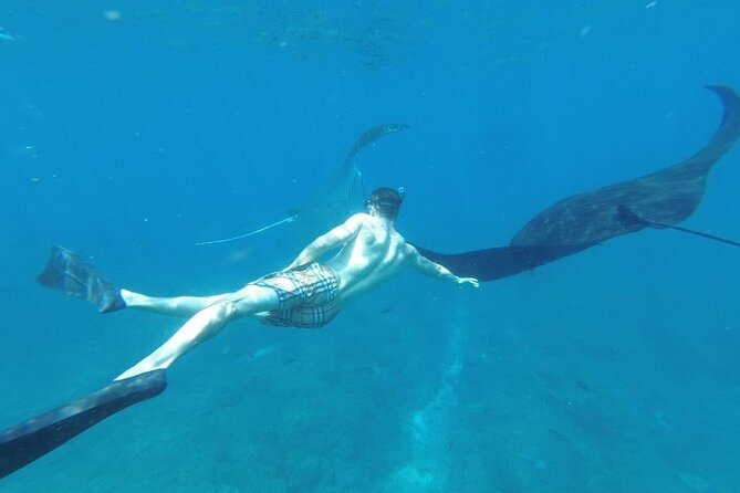 Private Snorkeling in Manta Bay, Gamat Bay & Wall at Nusa Penida - What You Get in the Water: Gear, Safety Float, and Comfort Reality