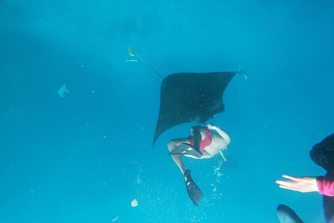 Private Snorkeling in Manta Bay, Gamat Bay & Wall at Nusa Penida - Getting There and Back: Transfers, Fast Boat, and Timing that Works