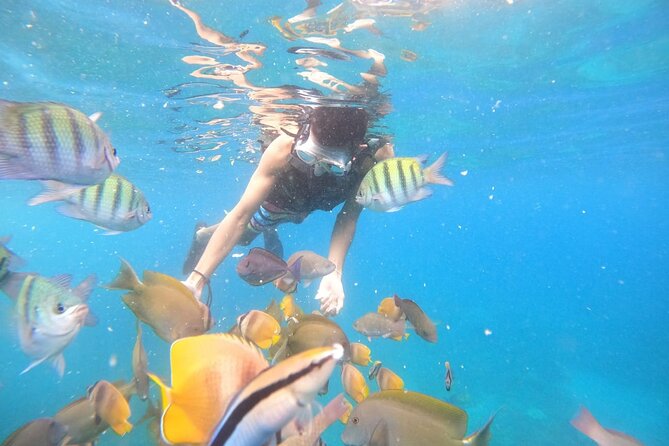 Private Snorkeling in Manta Bay, Gamat Bay & Wall at Nusa Penida - The Three Snorkel Stops: Manta Bay, Gamat Bay, Crystal Bay or Wall Point