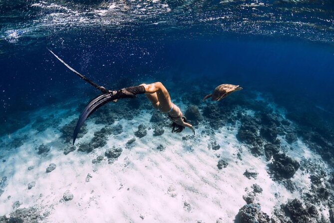 Private Snorkeling Start Gili Meno and Explore 4 Spots with GoPro - A private Gili Meno snorkeling tour with GoPro makes sense