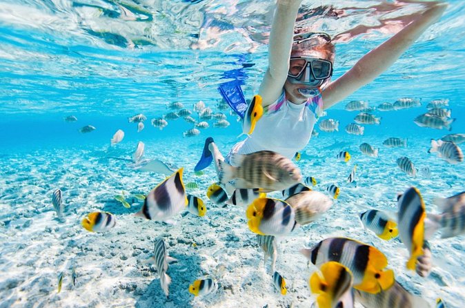 Private Snorkeling Start Gili Meno and Explore 4 Spots with GoPro - Price and value: why about $36.49 can be fair here