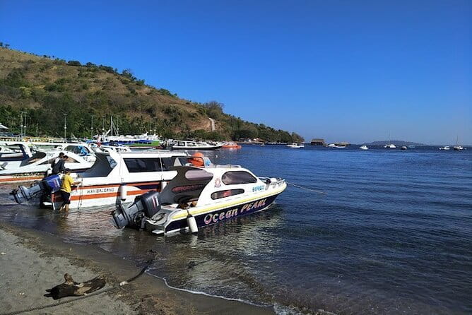 Private Speedboat transfer Between Lombok and Gili Islands - Where the boat leaves, and which Gili Islands you can reach