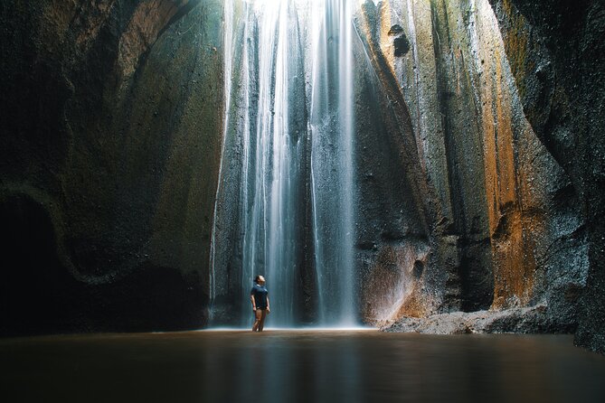 Private Tour : Bali Best Waterfalls, Temples and Monkey Forest - A private Bali day with waterfalls and temples, minus the stress