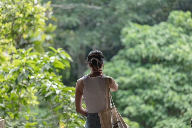 Private Tour : Bali Best Waterfalls, Temples and Monkey Forest - Tibumana Waterfall: jungle trail vibes and a cooling break