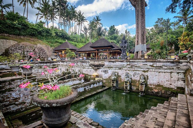 Private Tour : Bali Best Waterfalls, Temples and Monkey Forest - Elephant Cave Temple: the name is misleading, so listen to the guide