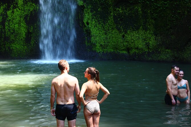 Private Tour : Bali Best Waterfalls, Temples and Monkey Forest - Sangeh Monkey Forest: sanctuary setting, not just photo fodder