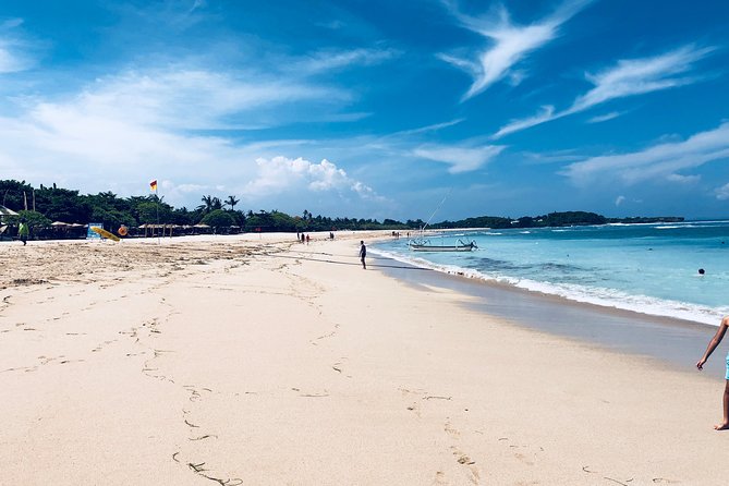 Private Tour: Bali in a Day - The driver makes it: flexibility, English, and safety focus