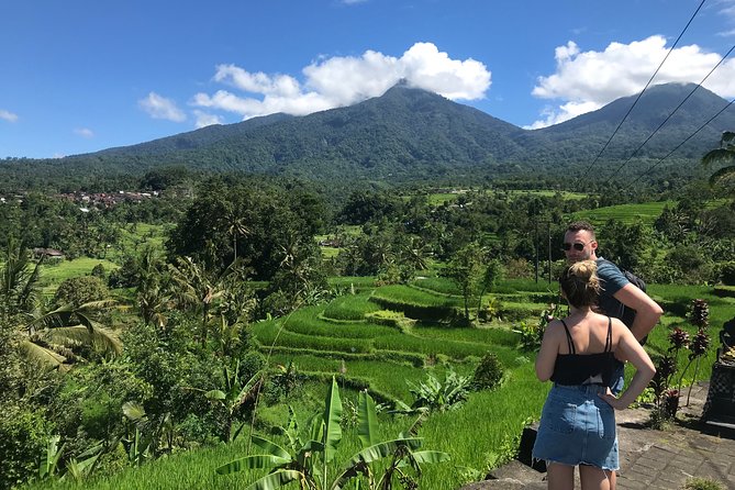 Private Tour: Bali Temple and Countryside Tour - Bali Butterfly Park: A Living Research Garden You Can Walk Through