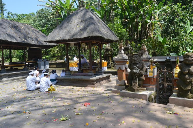 Private Tour: Bali Temple and Countryside Tour - Who This Tour Fits Best