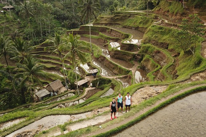 Private Tour: Bali Volcano with Jungle Swing Experience - Gunung Kawi Sebatu Temple: ponds, silence, and a slower vibe