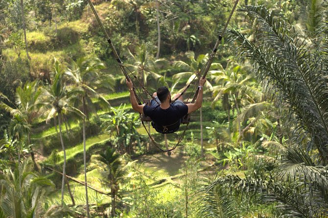 Private Tour: Bali Volcano with Jungle Swing Experience - Price and what $55 gets you for this private circuit