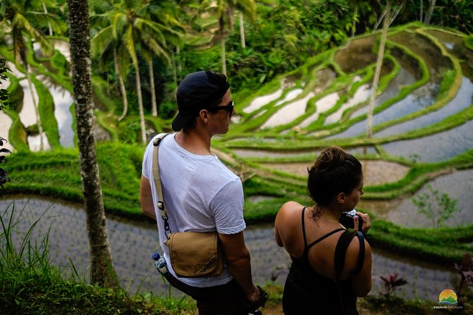 Private Tour: Balinese Culture and Scenery (visit ubud area) - A Ubud Day That Mixes Big Sights With Real Local Life
