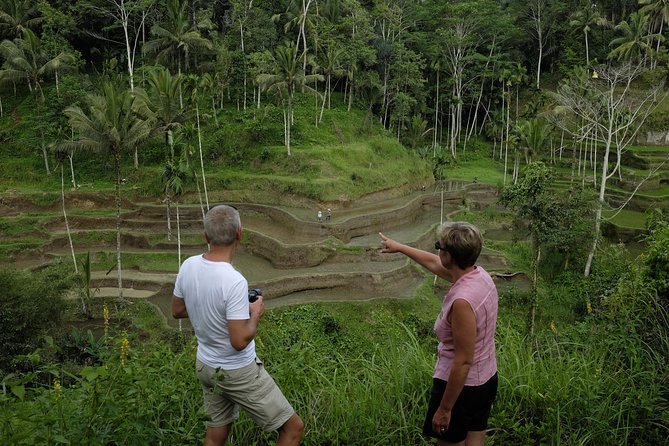 Private Tour: Balinese Culture and Scenery (visit ubud area) - Choosing Your Waterfall Near Ubud: Tegenungan, Tibumana, or Tucked Cepung