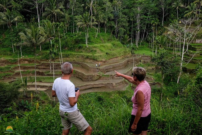 Private Tour: Balinese Culture and Scenery (visit ubud area) - Price and Value: What $65 Covers, and What You Still Pay For