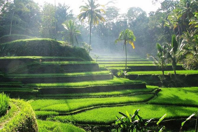 Private Tour: Batuan Temple, Tegenungan Waterfall, Elepahant Cave Free transport - Ubud Palace and the art market: culture and shopping in the same block