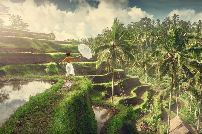Private Tour: Best of Bali - All Inclusive Tickets - How an 8-hour private Bali circuit earns its keep