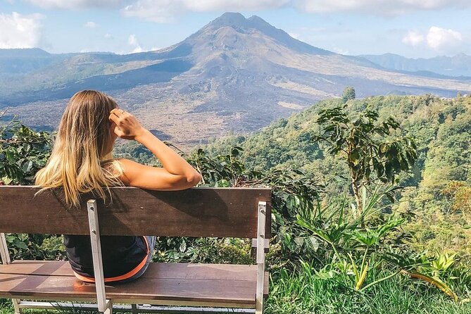 Private Tour: Best of Bali - All Inclusive Tickets - Why the included tickets and parking make the day smoother