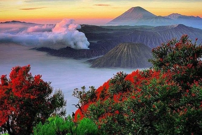 Private Tour : Bromo Ijen Tour From Bali - Why This Bali-to-Java Volcano Route Works So Well