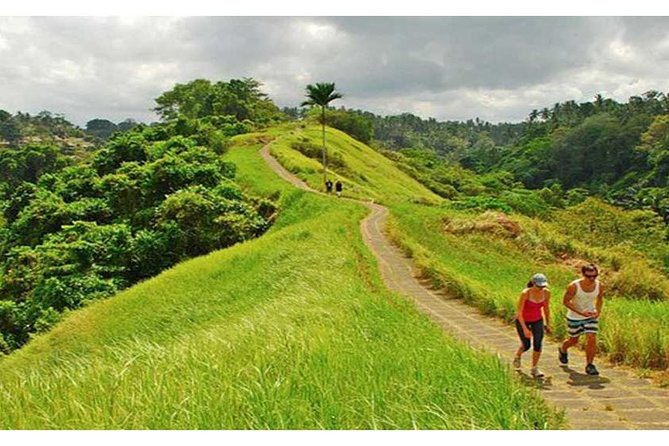 Private Tour: Campuhan Ridge Walk, Ubud Rice Terrace & Ubud Palace - Key highlights to know before you go