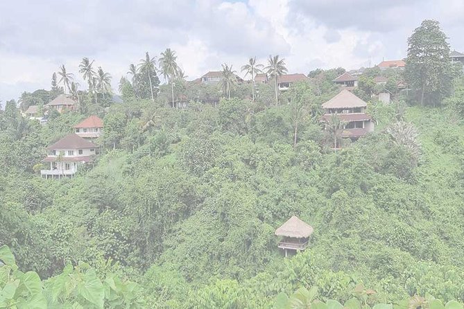 Private Tour: Campuhan Ridge Walk, Ubud Rice Terrace & Ubud Palace - The real appeal: combining ridge views with Ubud culture