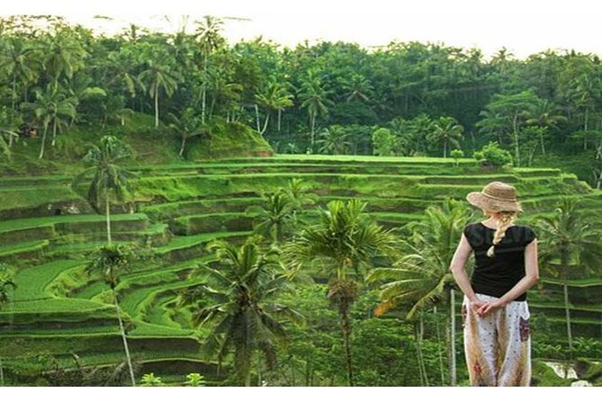 Private Tour: Campuhan Ridge Walk, Ubud Rice Terrace & Ubud Palace - Who this private Ubud day tour is best for