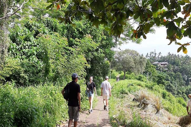 Private Tour: Campuhan Ridge Walk, Ubud Rice Terrace & Ubud Palace - Service quality: guides that make the day smoother