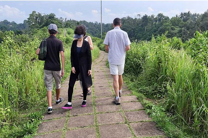 Private Tour: Campuhan Ridge Walk, Ubud Rice Terrace & Ubud Palace - Ceking Rice Terrace: why this stop keeps getting named