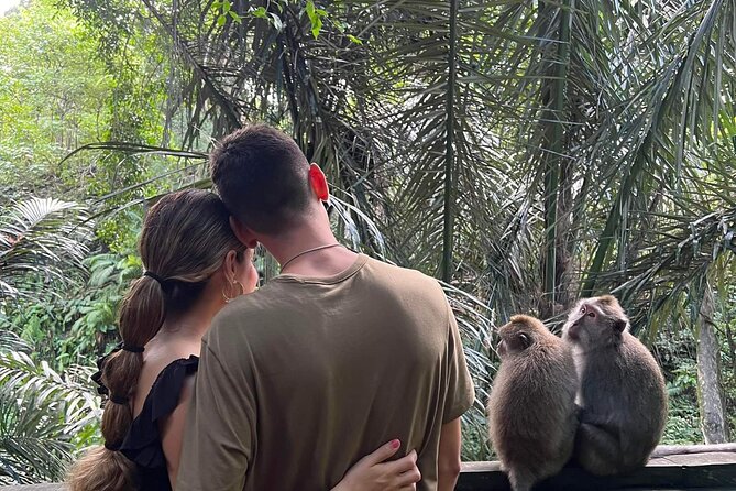Private tour, discover the beauty of bali - Sacred Monkey Forest Sanctuary: temples, shade, and photo-ready monkeys