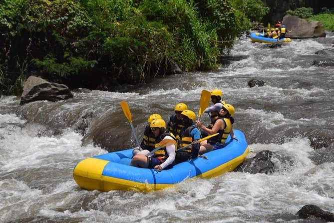 Private Tour Rafting Uluwatu Kecak Dance Sunset and Dinner in Jimbaran Bay - Price and value: what $30.40 actually buys you