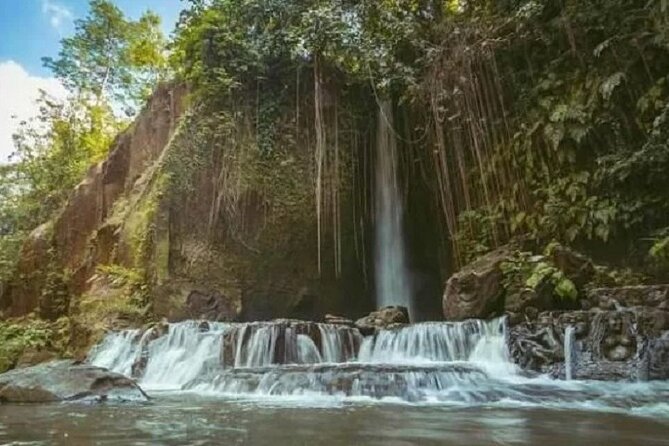 Private Tour to Sumampan Waterfall, Monkey forest, Rice terraces and Swing - Price and logistics that make this feel good value