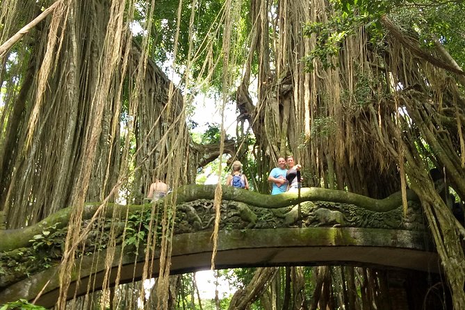 Private Tour to Sumampan Waterfall, Monkey forest, Rice terraces and Swing - Sumampan Waterfall: a dramatic stop with a village vibe