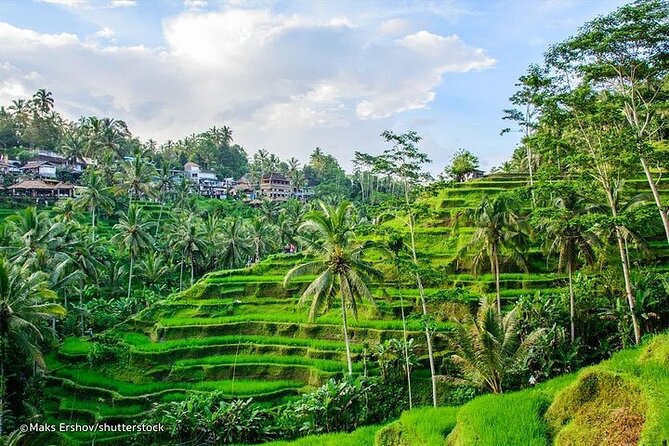 Private Tour to Sumampan Waterfall, Monkey forest, Rice terraces and Swing - Sacred Monkey Forest Sanctuary: a popular nature-and-religion blend