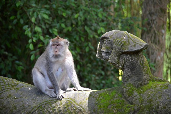 Private Tour: Ubud Day Tour with Traditional Offering Lesson - Temples plus coffee plantation and luwak: sacred stops and a pricey ingredient story