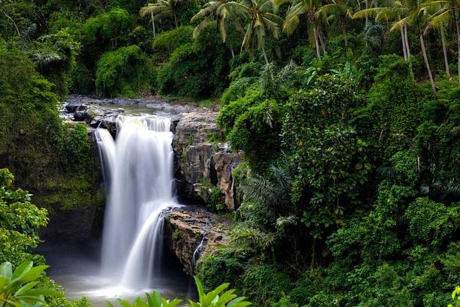 Private Tour - Ubud Kintamani Tours - Price and Logistics: What $70 Gets You, and What It Does Not