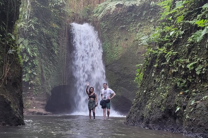 Private Tour Ubud: Swing at Rice Field with Temple and Waterfall - Tirta Empul Temple and the Sacred Water Cleansing Ritual